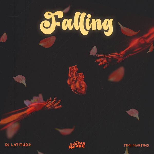 DJ Latitude – Falling